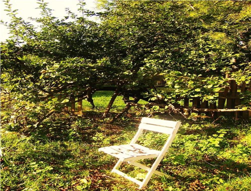 Le Moulin Fleuri Du Petit Appeville 외부 사진